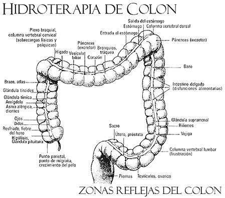 Effects of the toxic waste on the colon
